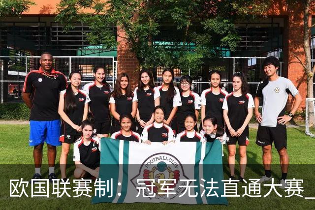 欧国联赛制：冠军无法直通大赛 各联赛存升降级